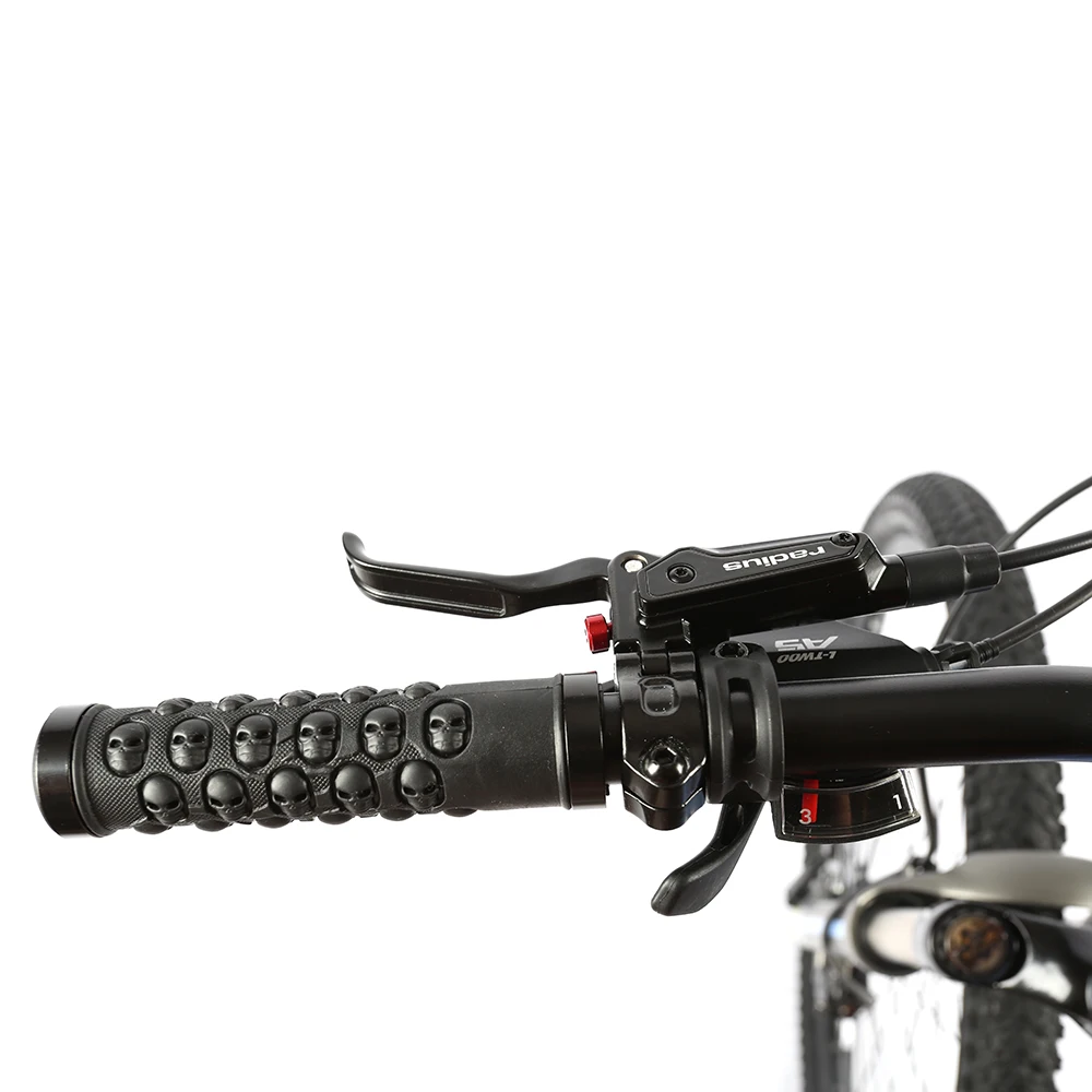 
OEM bike bicicletas mountain bike 29