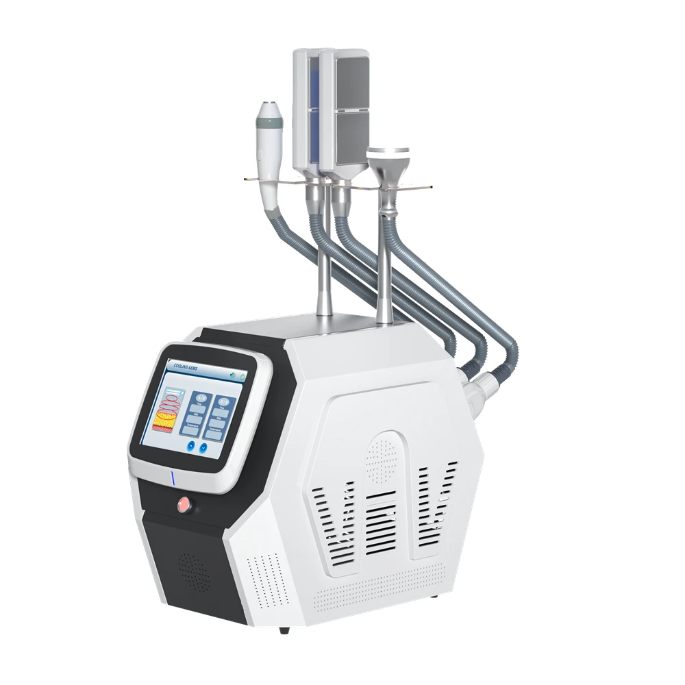 Portable 4 handles Cryo T Shock Cryoskin Facial Criolipolisis Palaca Plana Machine