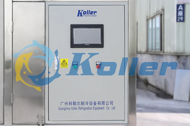 Professional Maker 5 Tons/day Ice Cube Maker With Siemens Plc Control System Industrial Ice Cubes Maker