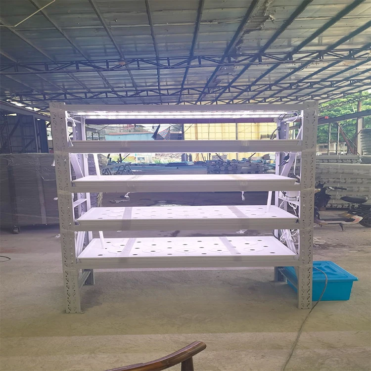 1020 Heavy Duty PS Plastic Seedling Nursery trays Wheatgrass Garden Plant Seed Sprouting Trays Square Hydroponics Pot Greenhouse