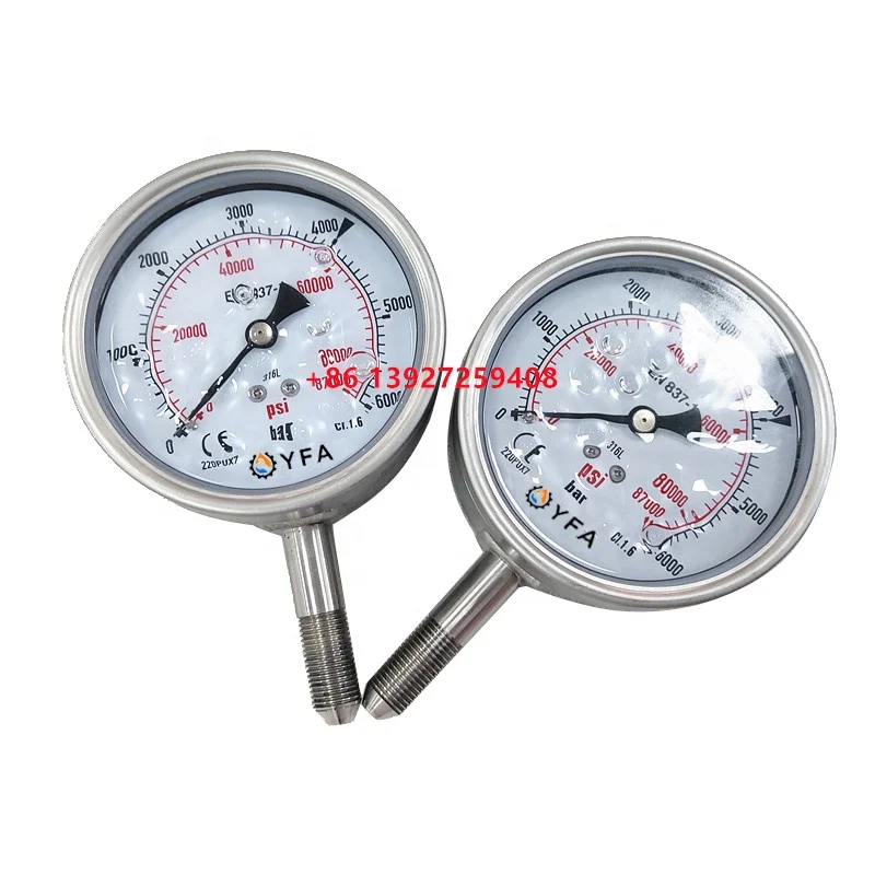 6000 bar 0-87K Pressure Gauge for 2800 bar High Pressure Fluid End Pump  40K  9/16' 1/2'G