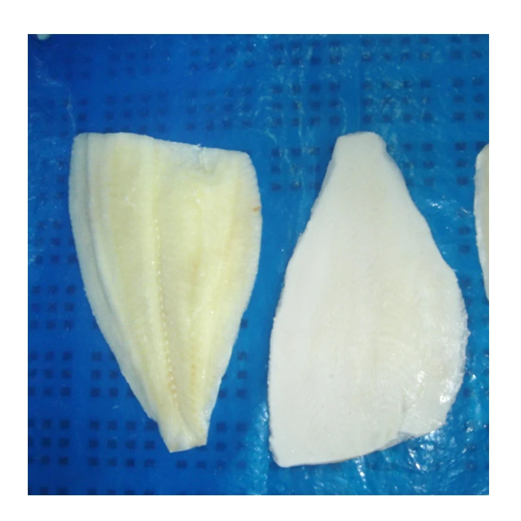 Fresh Sole Fish White Skin On All Size Yellowfin Sole White Skin On