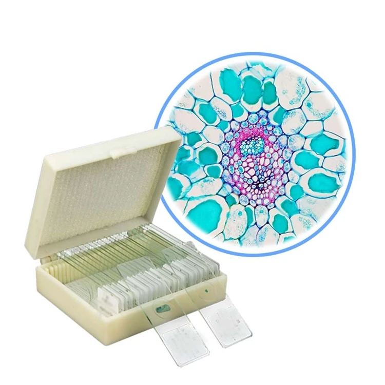 Медицинская медицина высокое качество и Лучшая цена биологические слайды полуфабрикат botany микроскоп для студентов