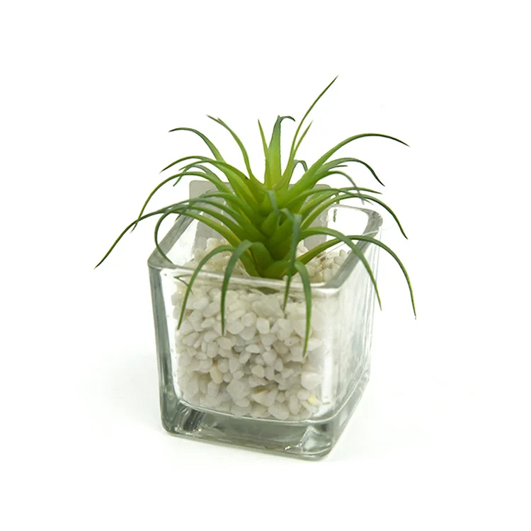 Home office decor glass transparent artificial mini succulents plants for sale