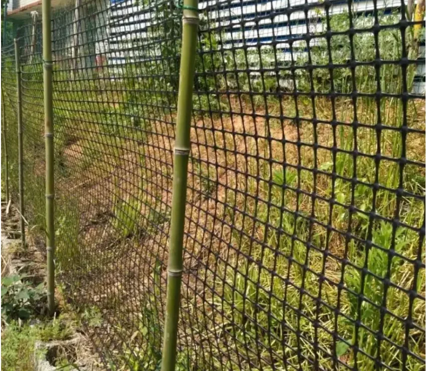 HDPE Biaxial Geogrid Composite Geotextile Geocloth Geocomposite Geogrid for road reinforcement