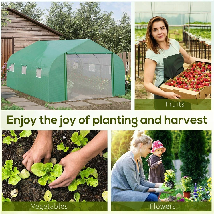 Agricultural Garden Greenhouse Plant Growing  Growing Tent