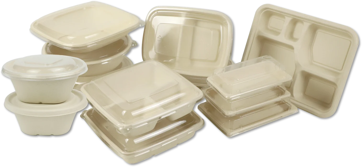 Biodegradable Sugarcane Bagasse Bento Box Disposable Pulp Products Food Packaging Container