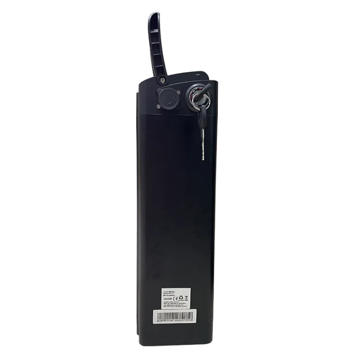 Customized Small Water Bottle Style 24v 36v 48v 20ah Hailong Europe Or Us Li-ion E-bike Battery Electric Bike Battery Pack