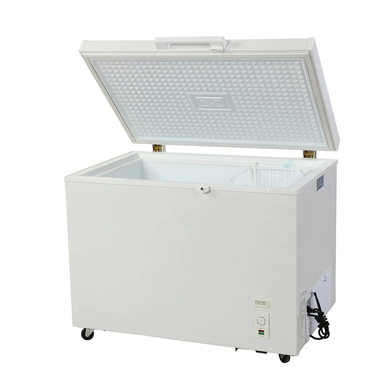 China Manufacturer Wholesale Price Hotel Fridge Ice Cream Meat Showcase Display Freezer Chest Freezer