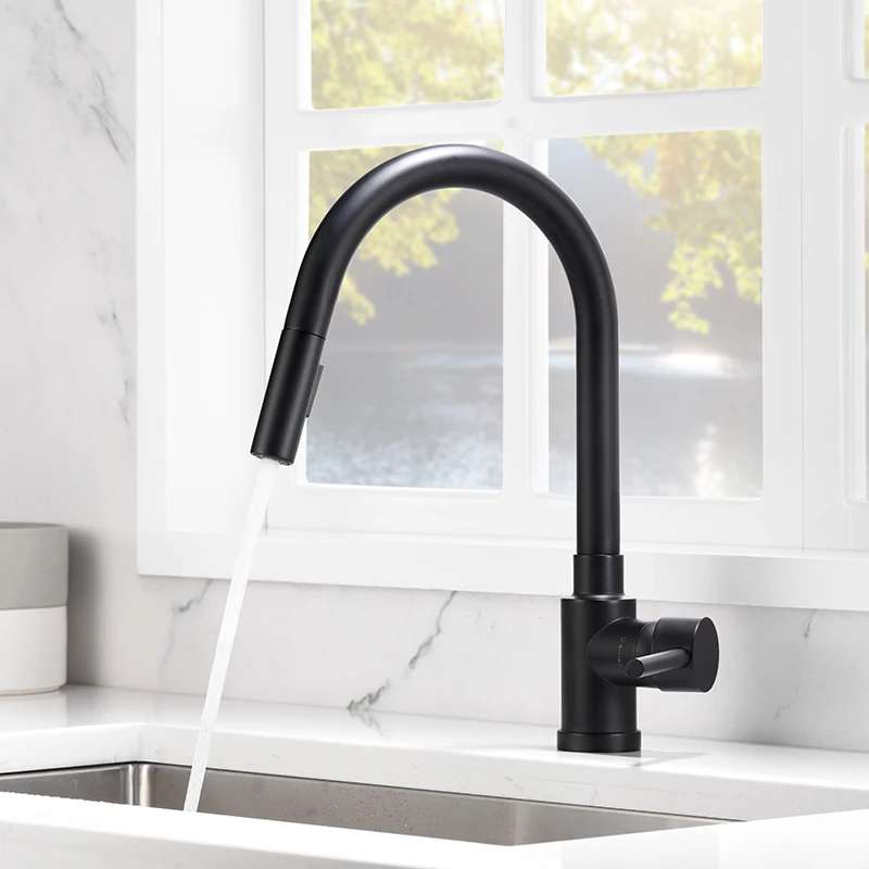 New Models Forious Matte Black Industrial Filter Pull-Out Tap Kitchen Sink Faucet