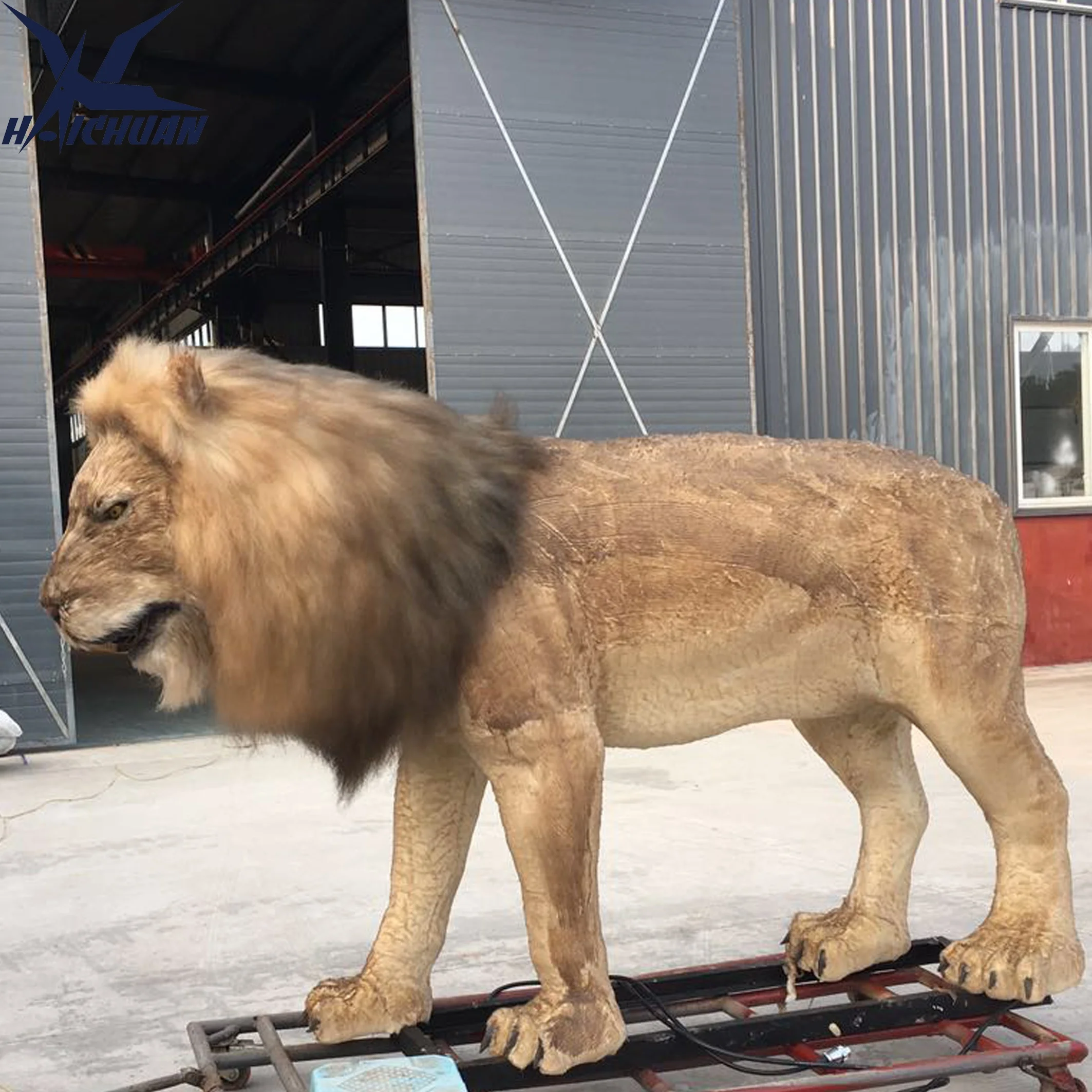 Custom Design Animated Real Size Animatronic Animal Moving Lion Model for sale