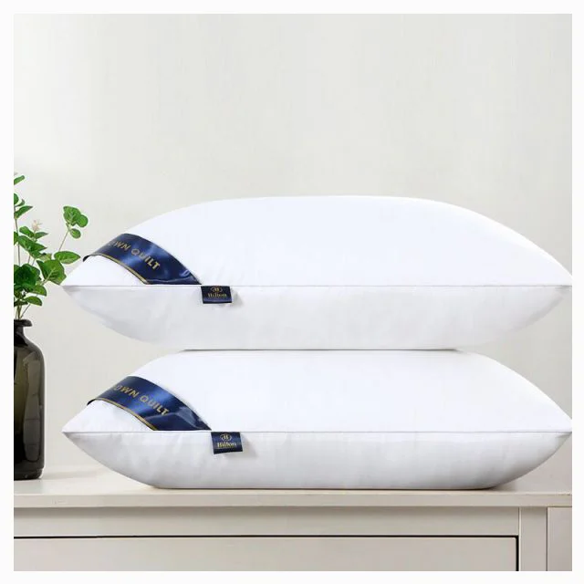 1000g Healthy Sleep Microfiber Polyester 5 Star hotel 48x74 Pillow Hilton Hilton Pillow with bag 1kg
