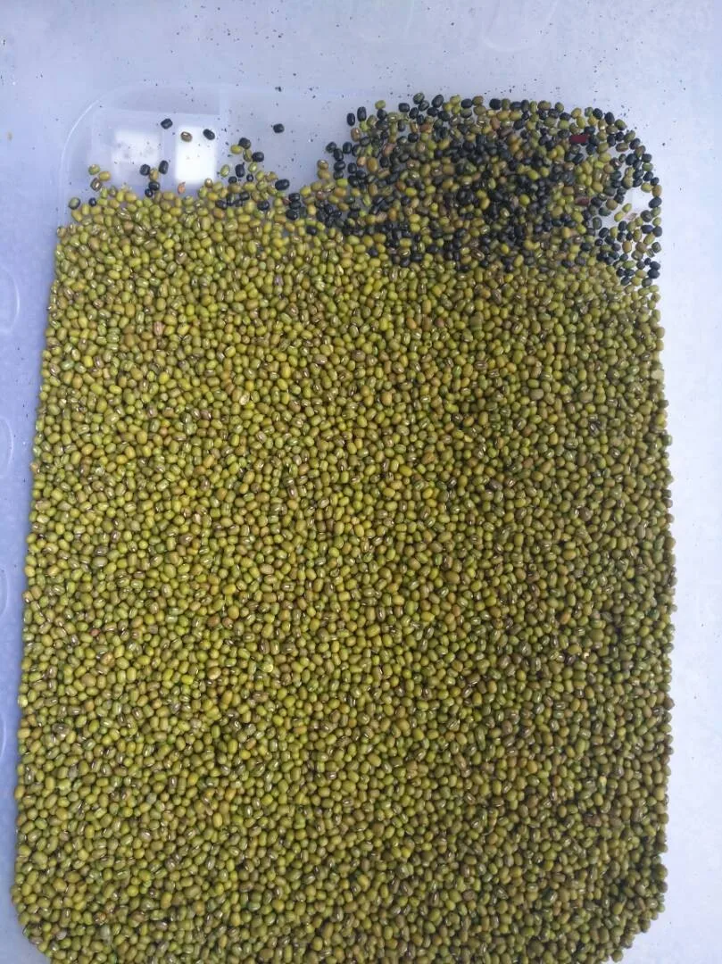 Intelligent CCD color sorter peanut color sorting machine rice color sorter for rice mill with high capacity