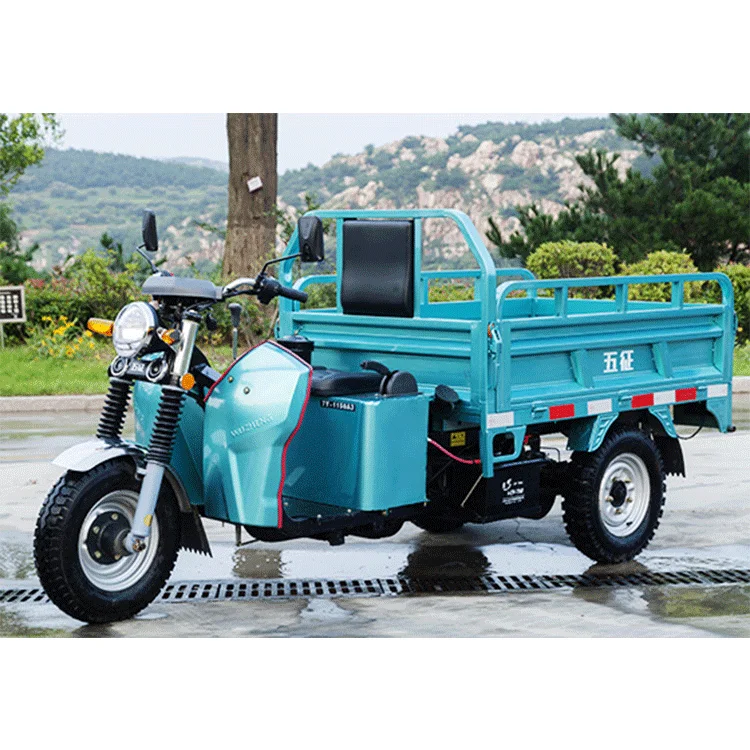 
Various good quality new type large capacity electric cargo tricycle 2021 