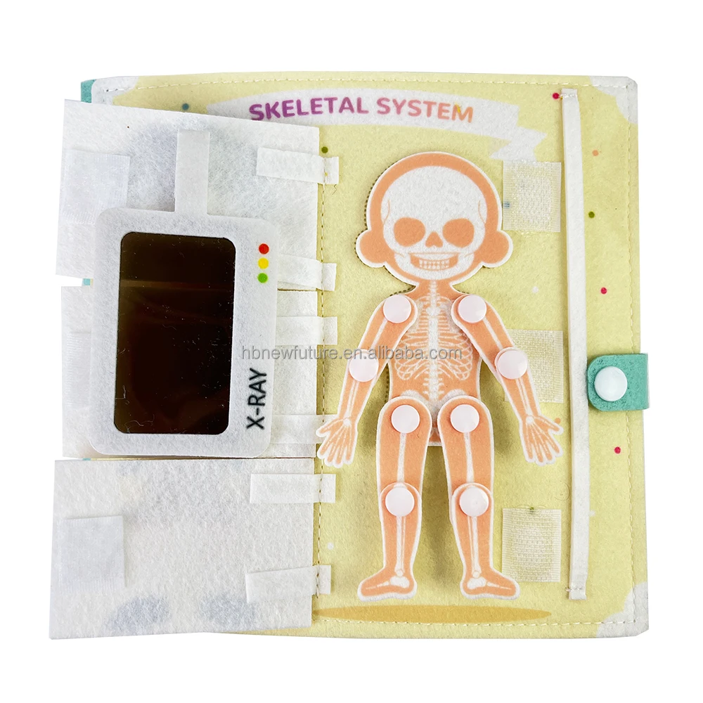 New Design busy book Early childhood education fabric science Human body Anatomy books learning about body structure for kids