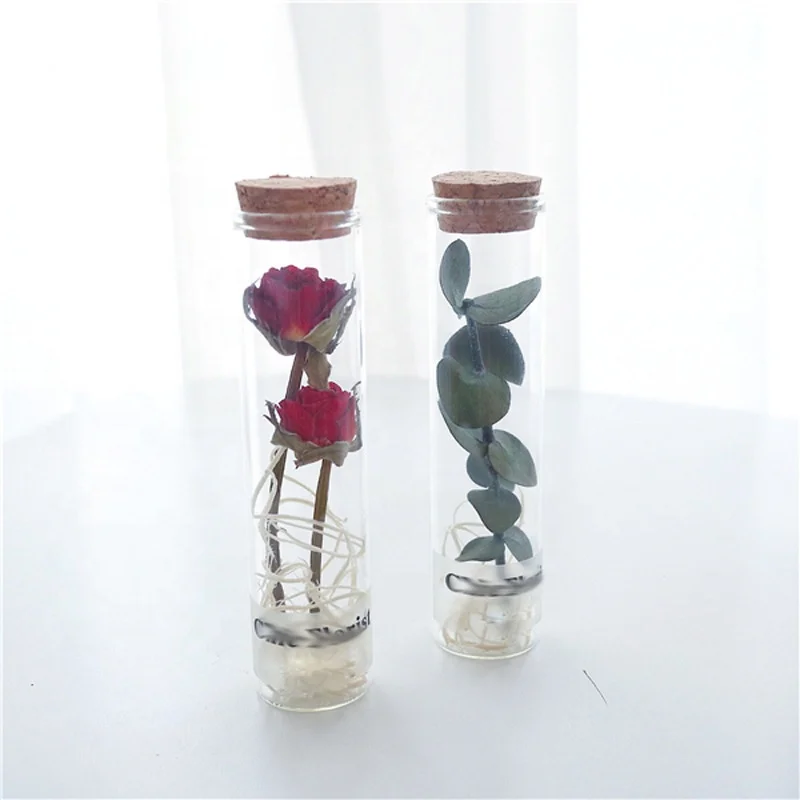 Wholesale factory price dried flower in glass gift box dry flower for decoration