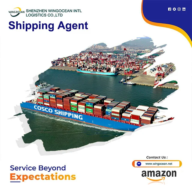 Cheapest logistics agent shipping FBA Door to Door logistics service LCL shipping agent from china to South Africa