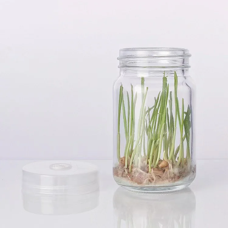 4oz 100ml slim tissue culture vessel glass bottle jars for plant with breathable caps