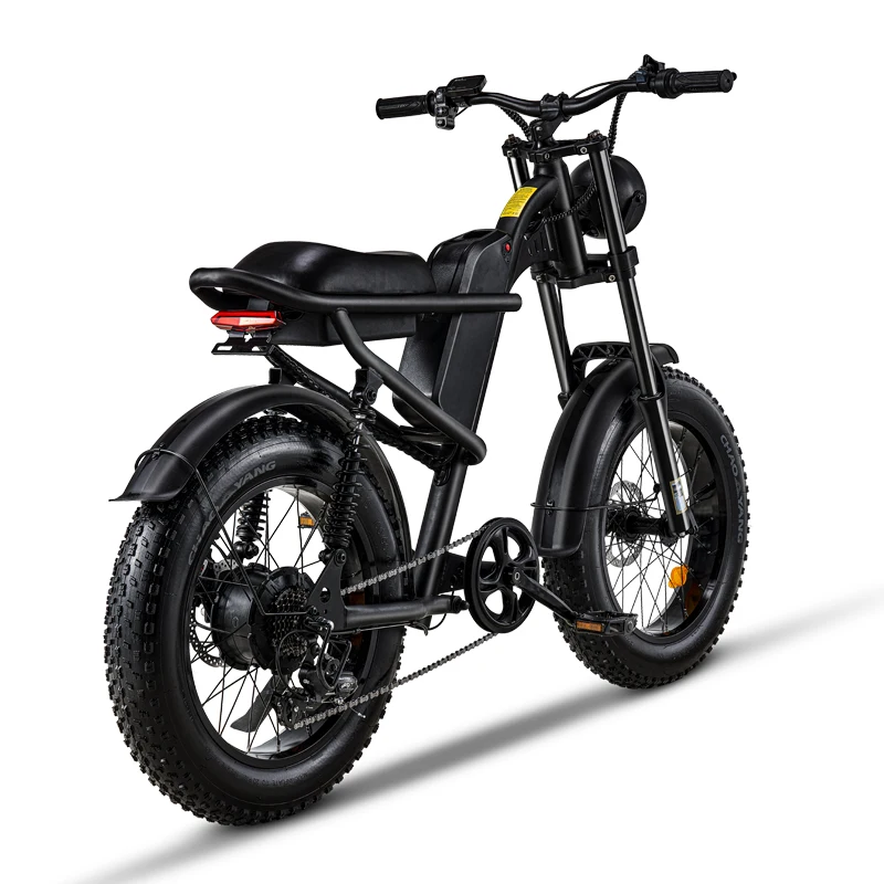 EU Warehouse Fat Tire Electric Bike 20inch Foldable E bike Price 750W Motor 15AH Battery Electric Bicycle