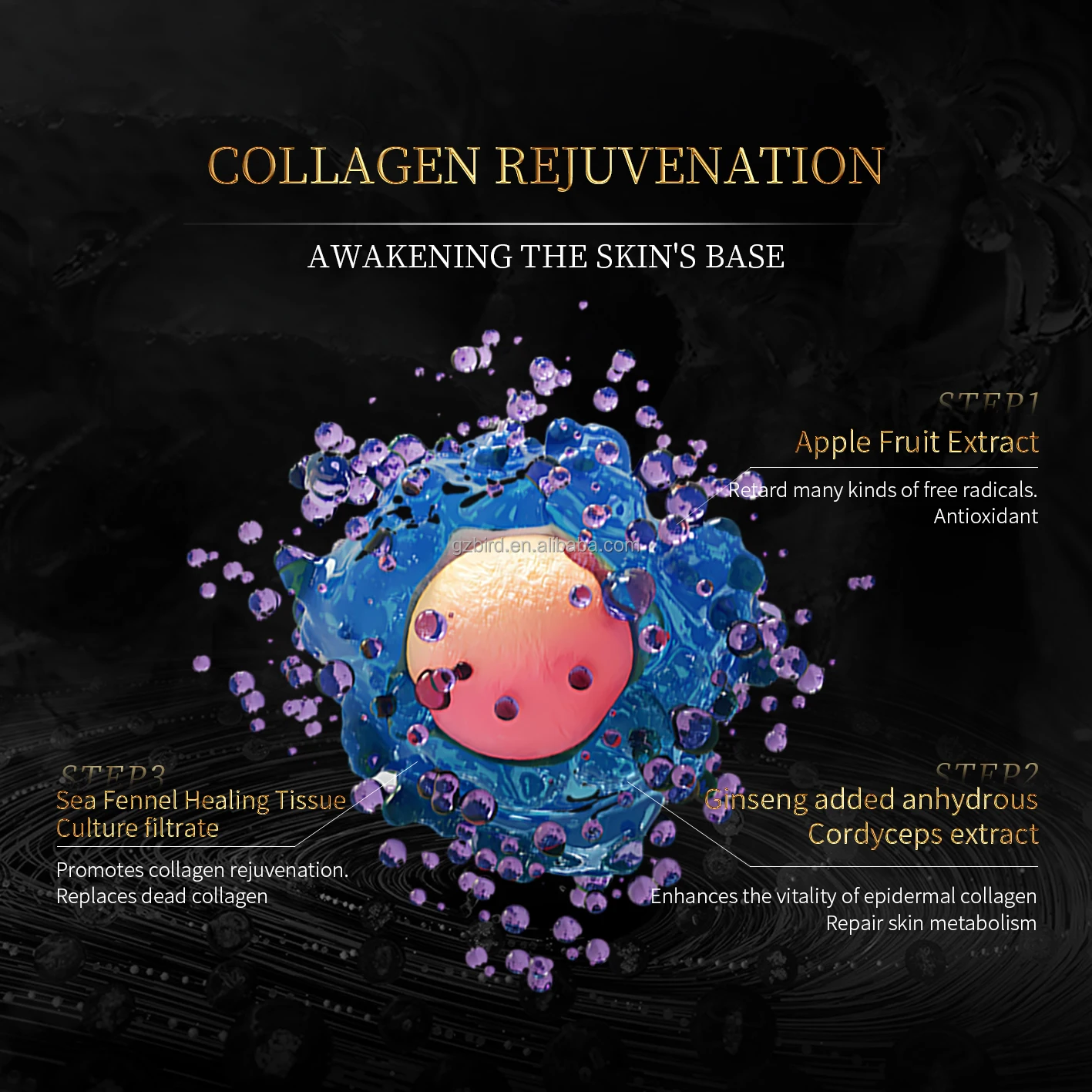 OEM Customized High-End Face Anti-Wrinkle Essence Cellular Youth Freeze Age Liquid Bottom Lifting Whitening Skin Care Products