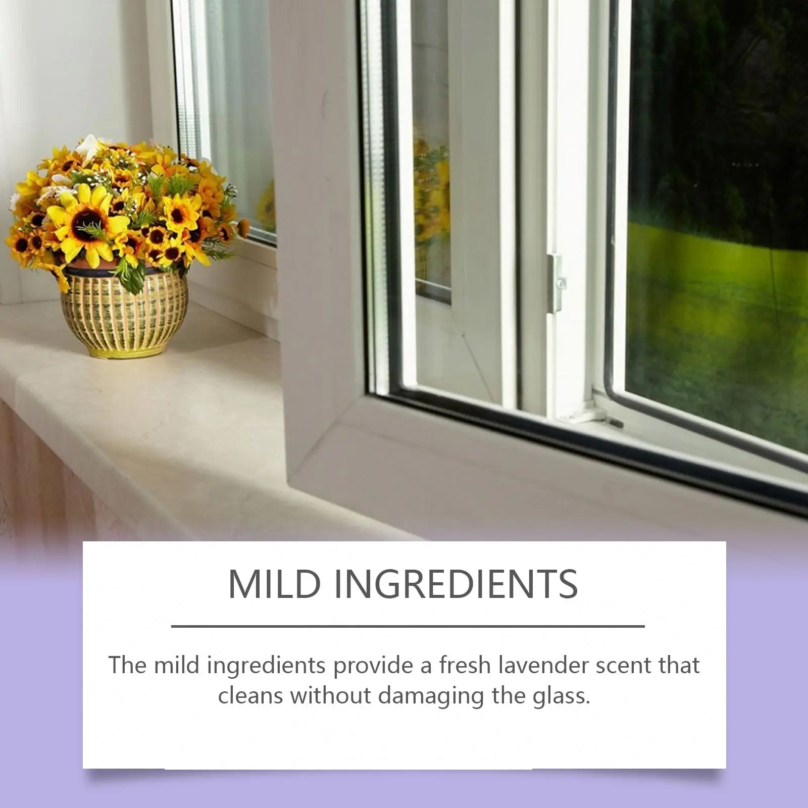 Jaysuing Wholesale Private Label 200ML Window Cleaner Degreaser Multi Functional Lavender Flavored Glass Cleaner