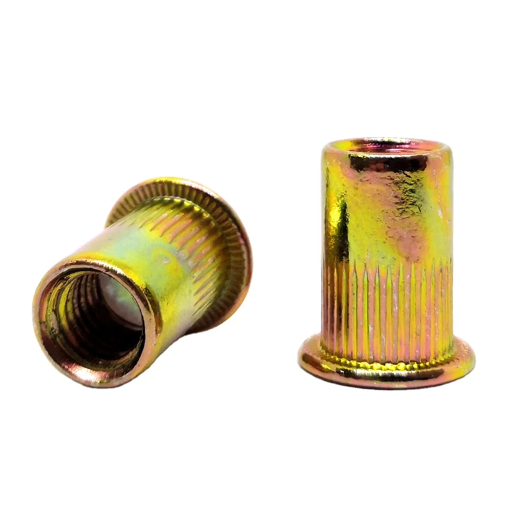 CN Supplier EXW Price Sale M3 M4 M5 M6 M8 M10 M12 Color Zinc HDG Pull Flat Head Rivet Nut Bolts and Nuts Handan Yongnian