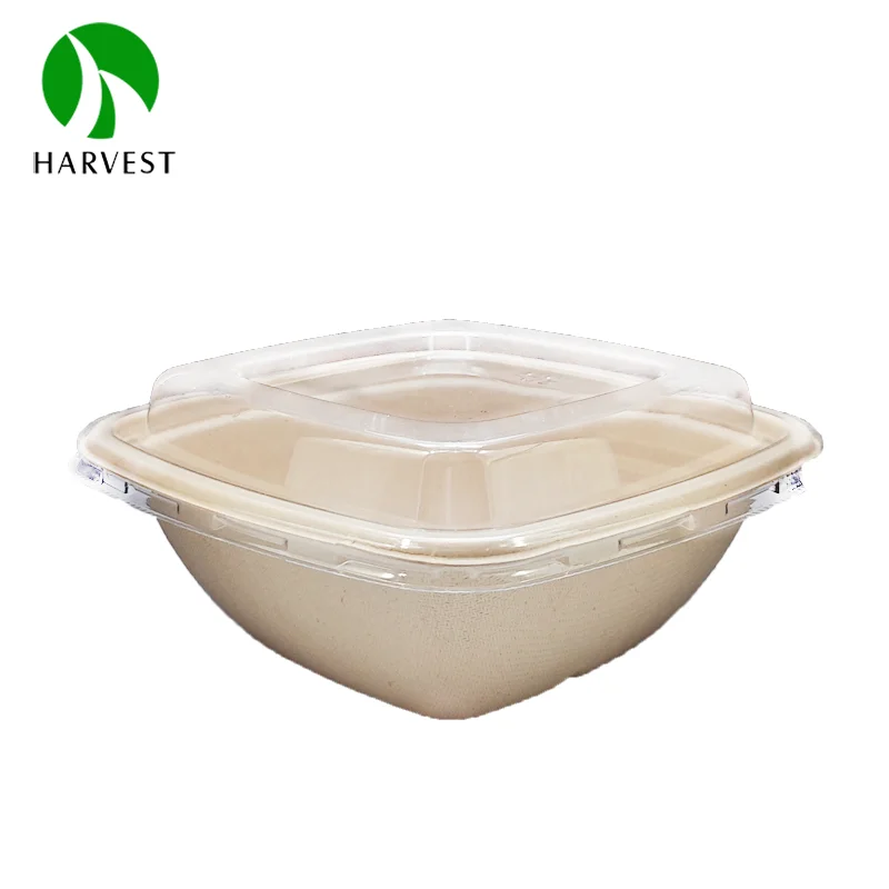 350ml 500ml sugarcane bagasse pulp wholesale take out square food container