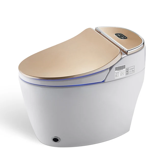 Hotel modern110V/220V bathroom ceramic floor mounted intelligent electric toilet bowl automatic bidet wc smart toilet