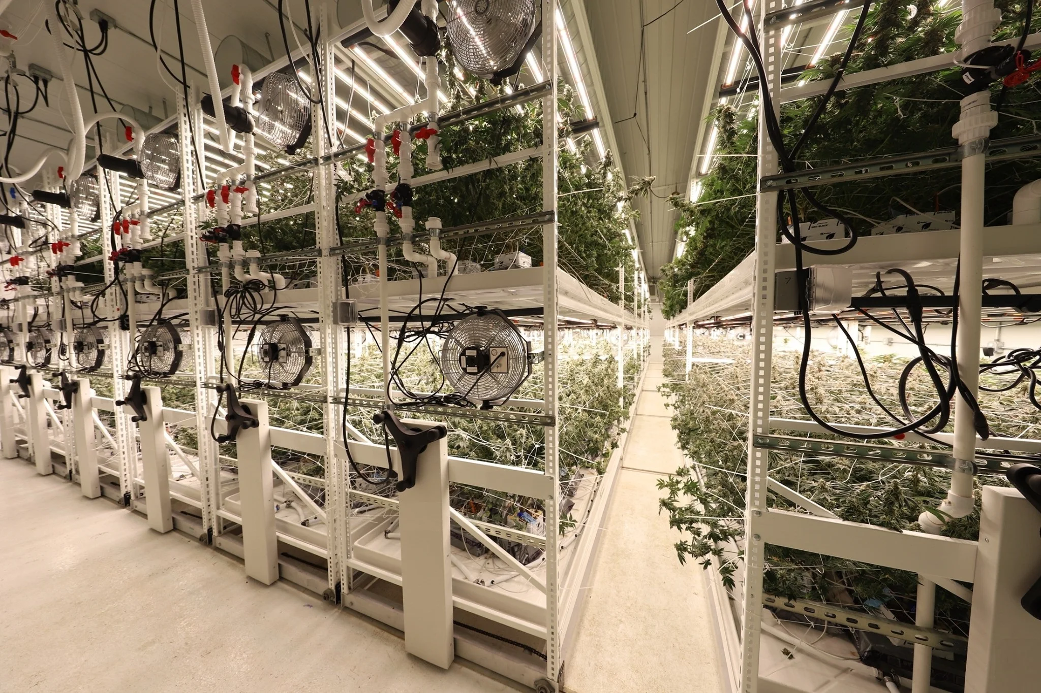 Irrigation Hydroponics Equipment Indoor Growing Rack Systems