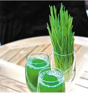 Best Sale Wheatgrass Juicer Machine/Juicer Extractor Manual