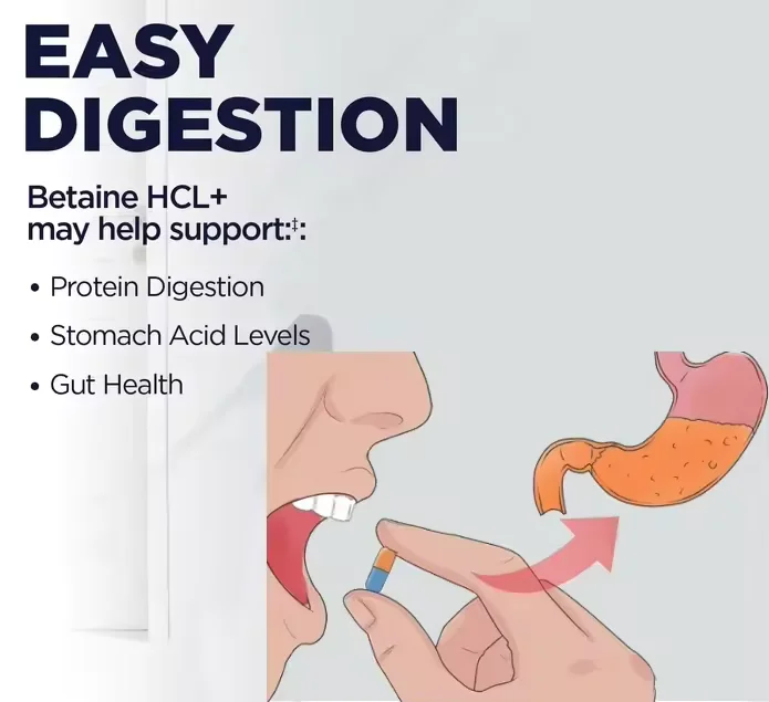 Betaine HCL With Pepsin Capsules Betaine hydrochloride Advanced Digestive Enzymes Plant-Based Vegan Bromelain Digestion Support