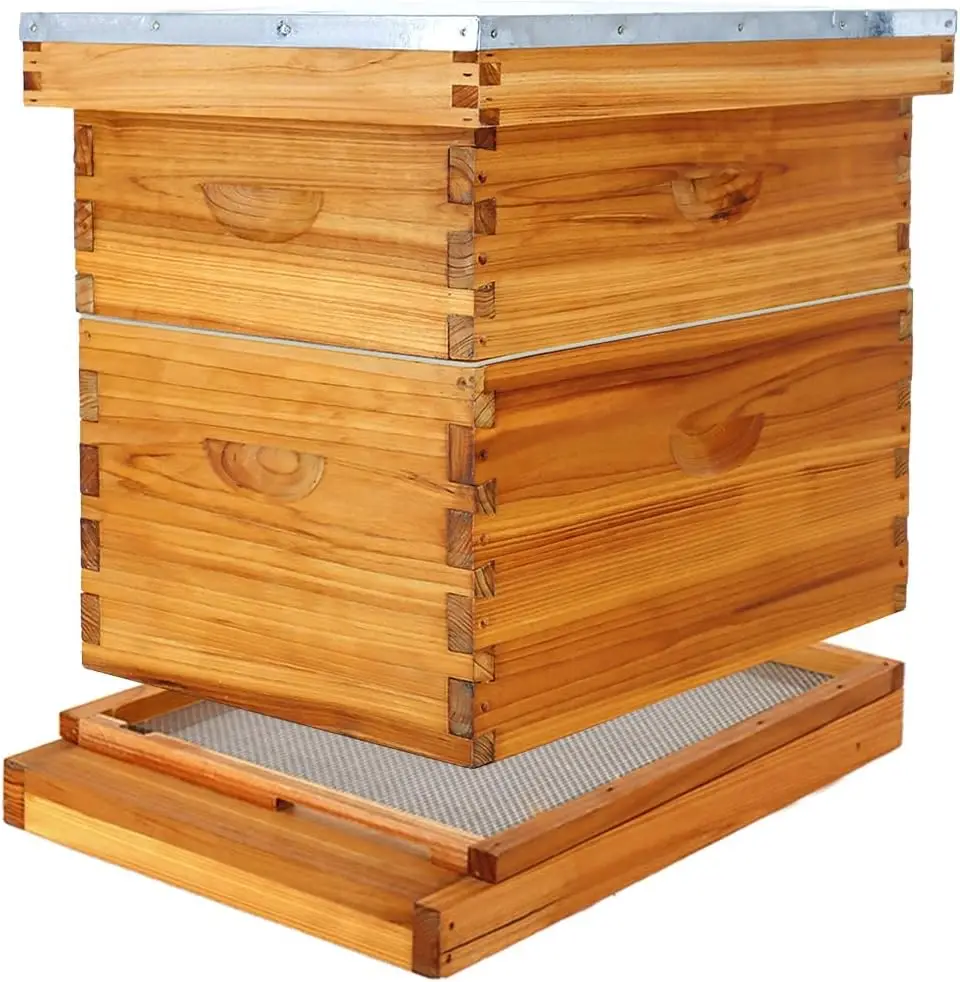 High Quality Honey Screened Bottom Board Beehive 2 Layers Bee Hive Box For 10-frame Bee Hives For Sale