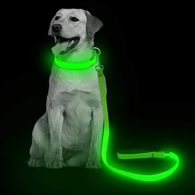Nylon Night Light Up Safety USB rechargeable LED Dog cat Collar Battery pet dog leash and collar with led flashlight Glow