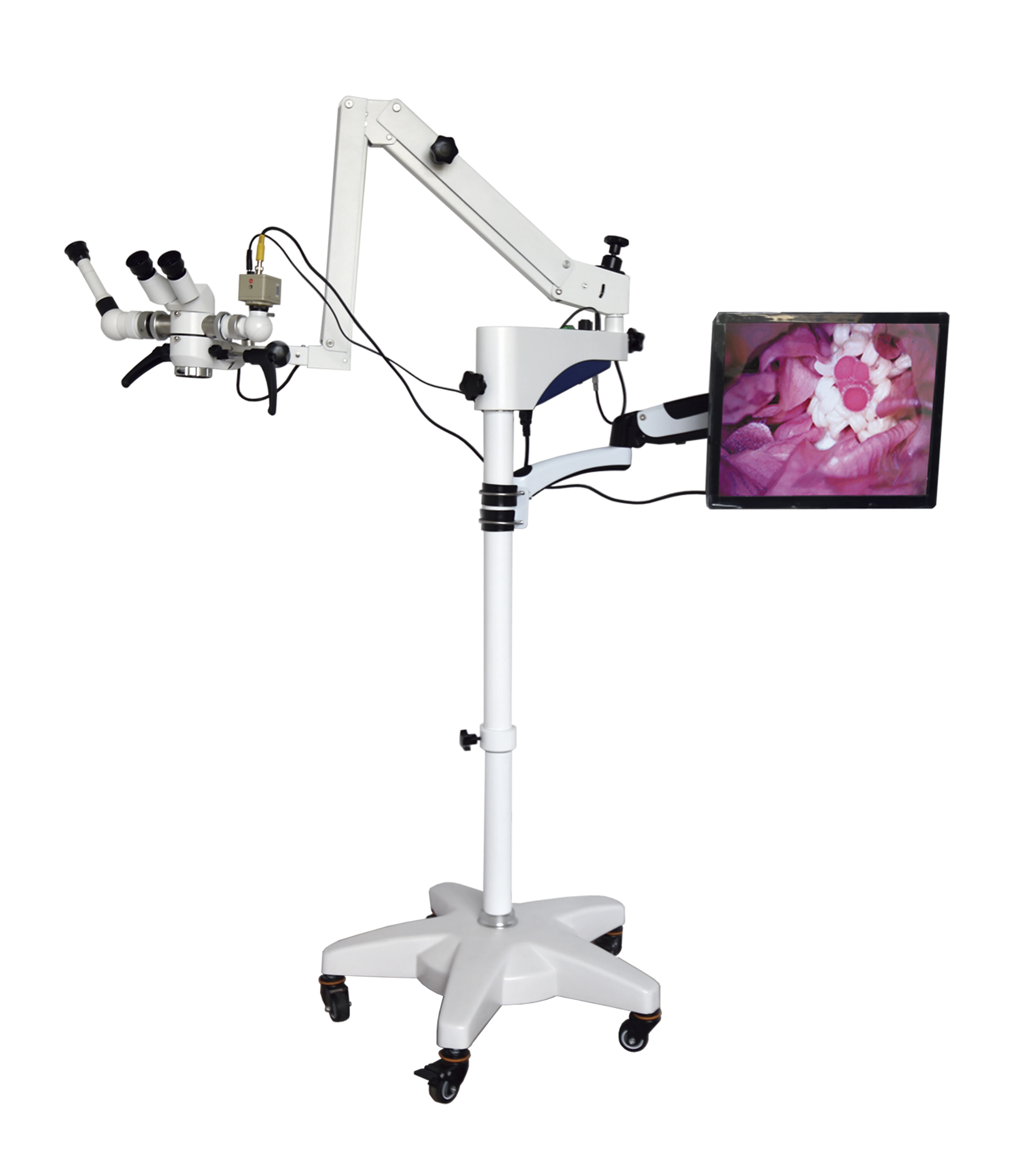 Table Mounted ENT Surgical Operation Microscope/Portable Dental Microscope
