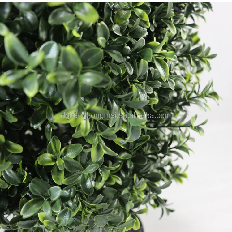 boxwood detail.jpg