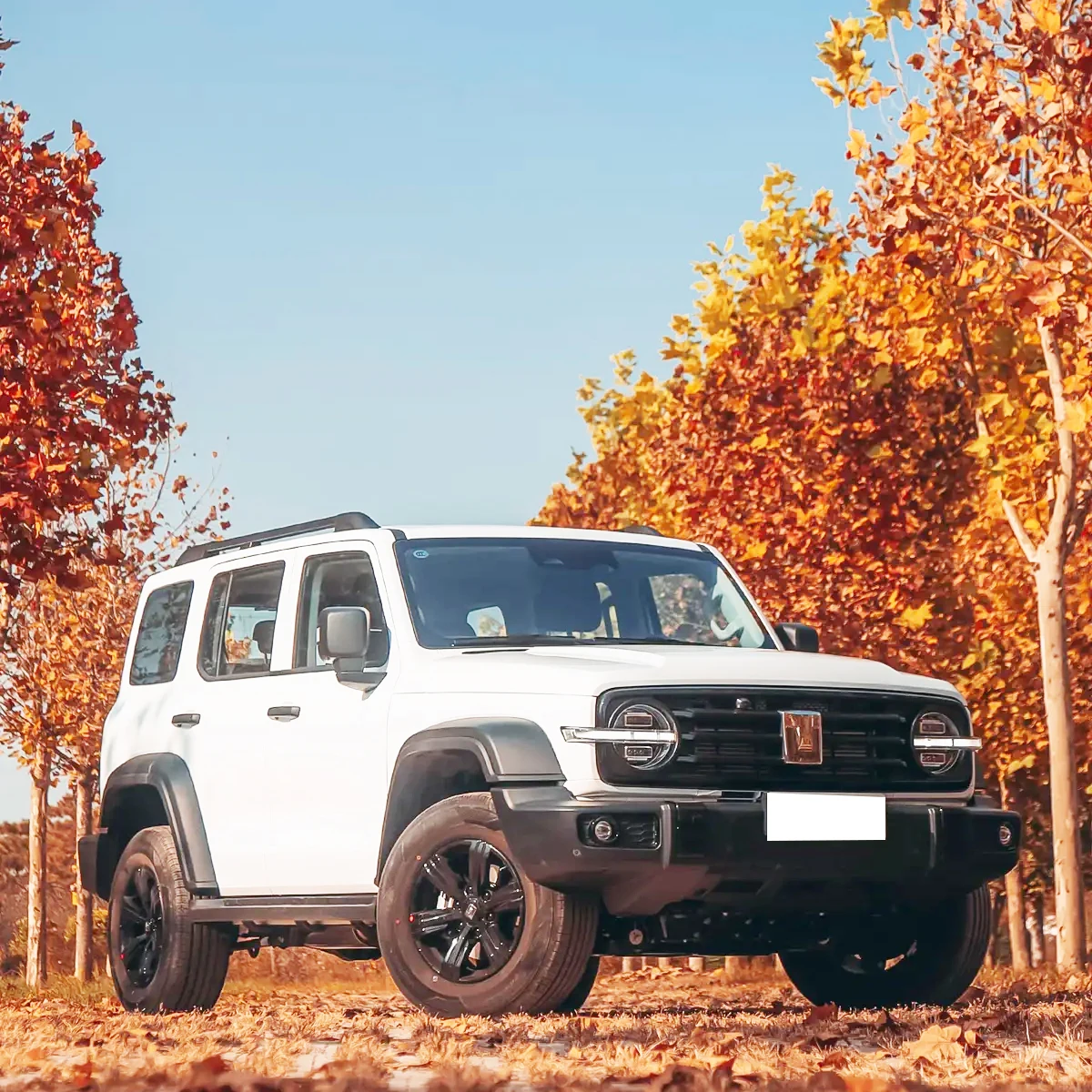 Cheap Price Great Wall High Speed 2.0t 2024 Gasoline Car GWM Tank 300 Body Kit