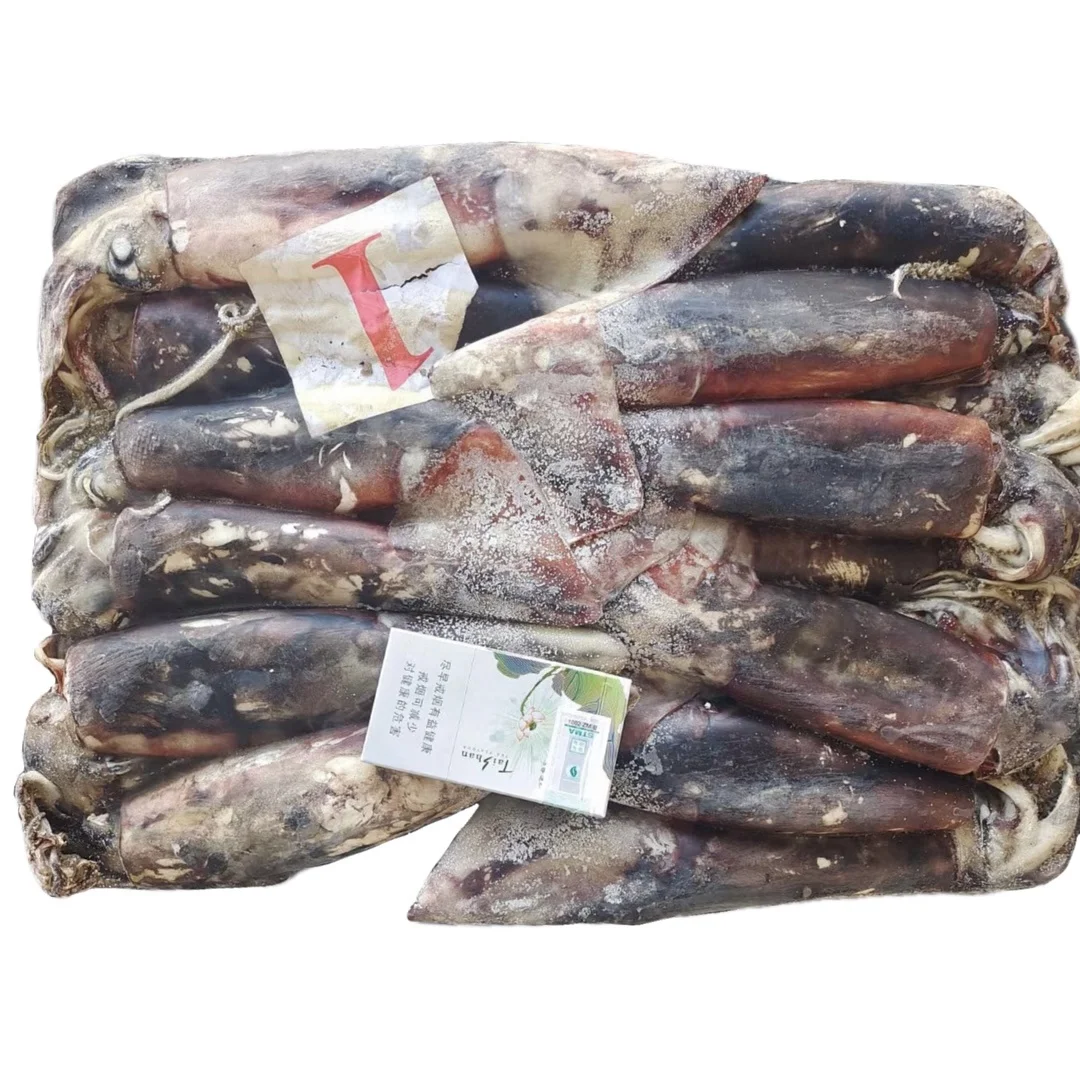 Frozen Calamari 300-500g Frozen Giant Squid Dosidicus Gigas Squid
