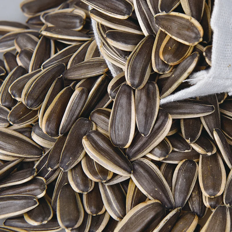 China 361/363/601/T6 Raw Sunflower Seeds