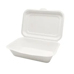 Hot Sale Noodles Packaging Boxes,Compostable Square Food Boxes Lunch Boxes