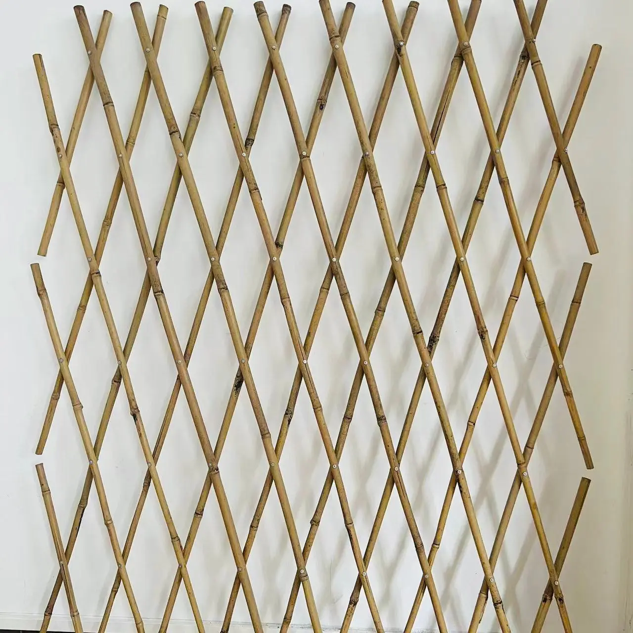 fence rose plant climbing vine bamboo flower bracket garden bamboo pole balcony telescopic bamboo