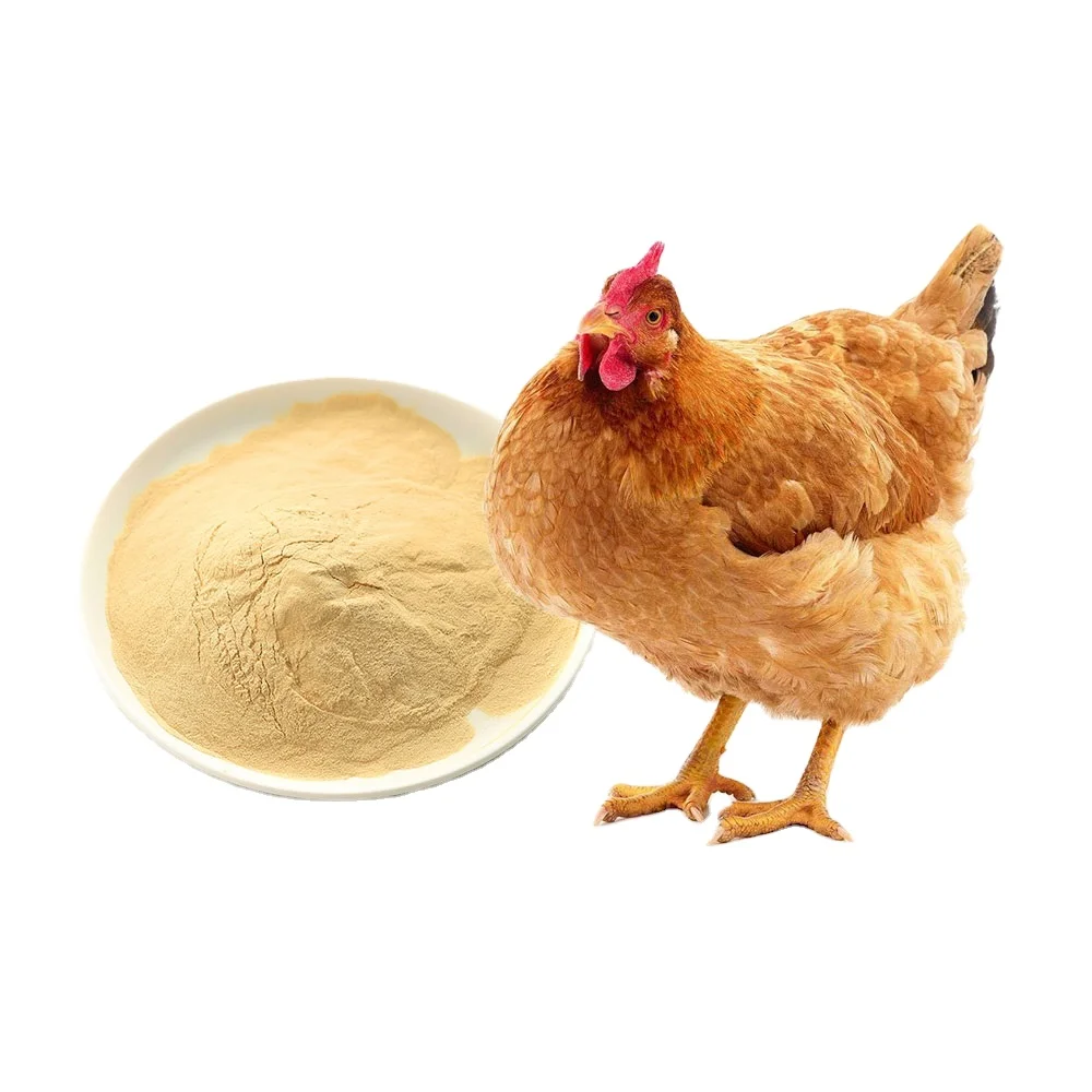 Factory wholesale chicken feeds additives broiler vitamin premix for poultry supplement