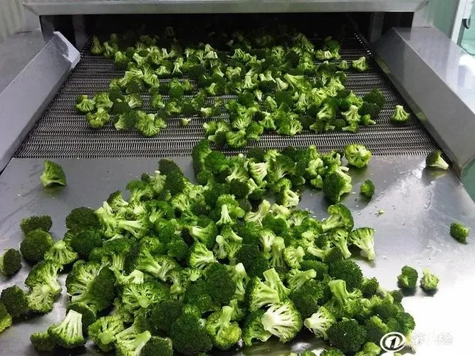 IQF freezer machine production line fries potato freeze tunnel freeze tunnel