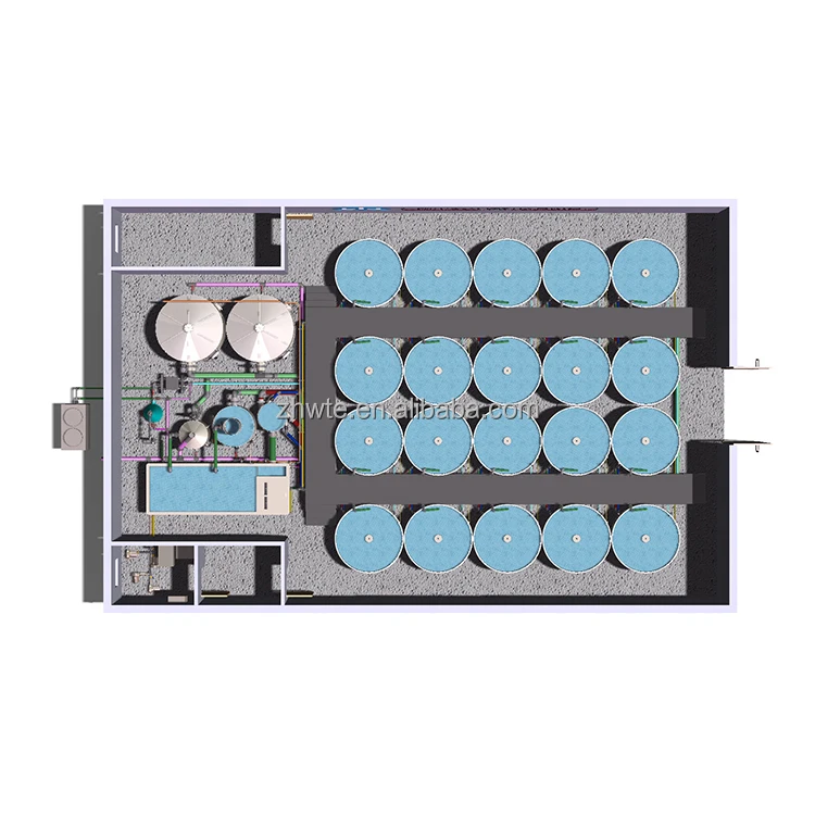 Customized 60Tons/year Catfish and Tilapia Fish Farming System