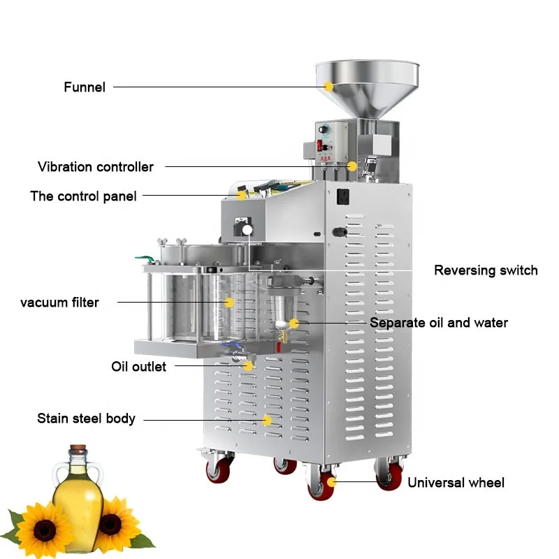 Commercial 30KG/H Peanut Sunflower Flaxseed Cold Press Oil Machine Stainless Steel Oil Press Machine With Oil Filter