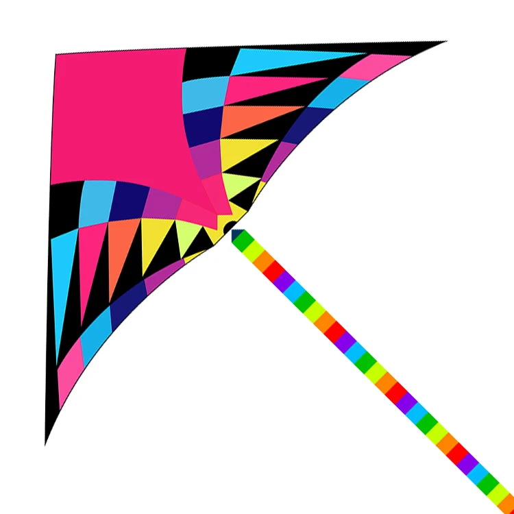 
Hot selling Customized high quality flying Chinese rainbow delta kite with 10m long tail easy flying 