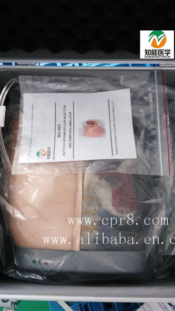 BIX-H5T Medical Teaching Buttocks Intramuscular Injection training and Compared Simulator For teaching and learning anatomy