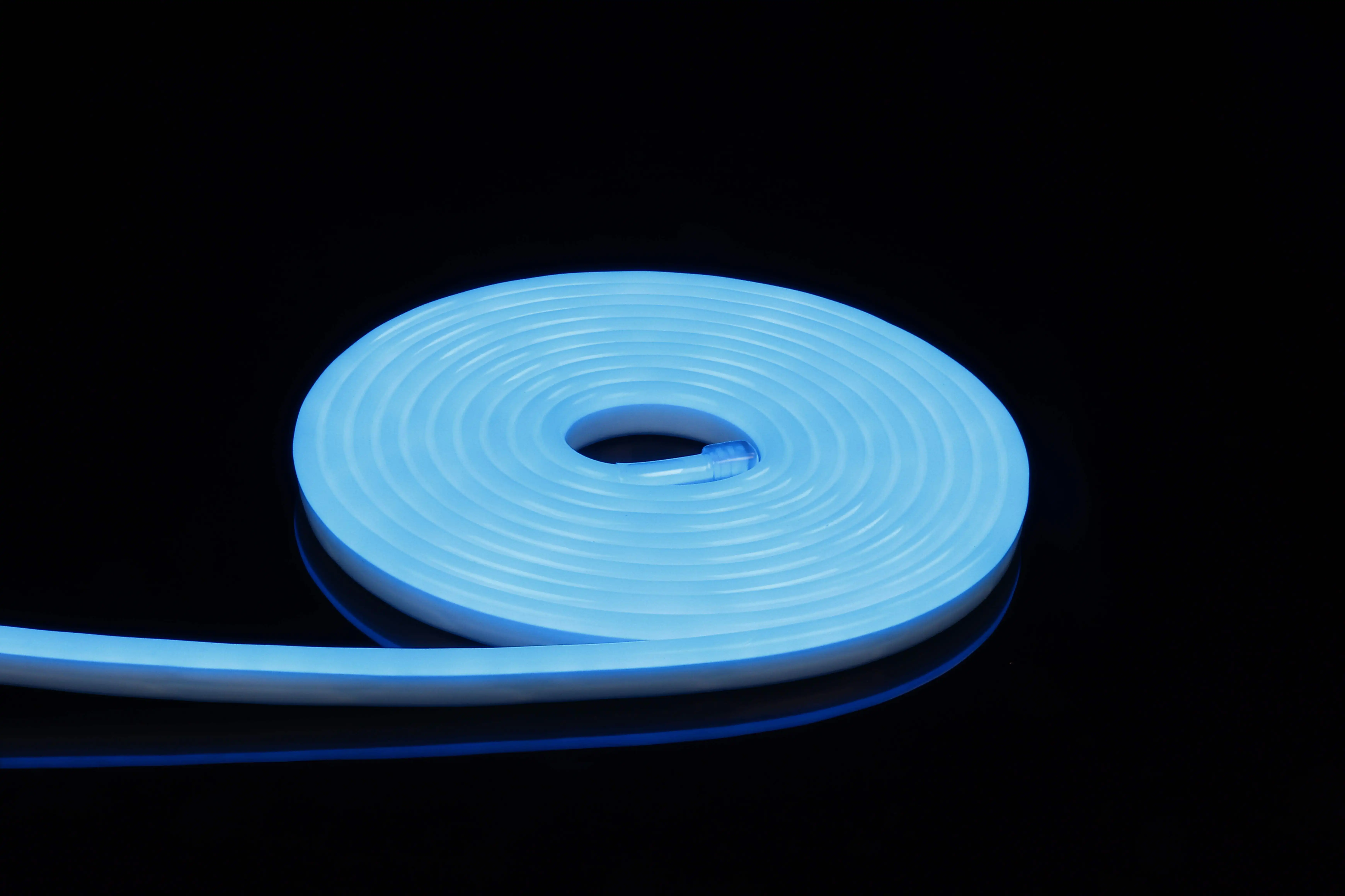 Single Side Neon Waterproof 5m 10m Stripe 12v Tira De Luces Led Strip Lights Rgb Led Strings Light