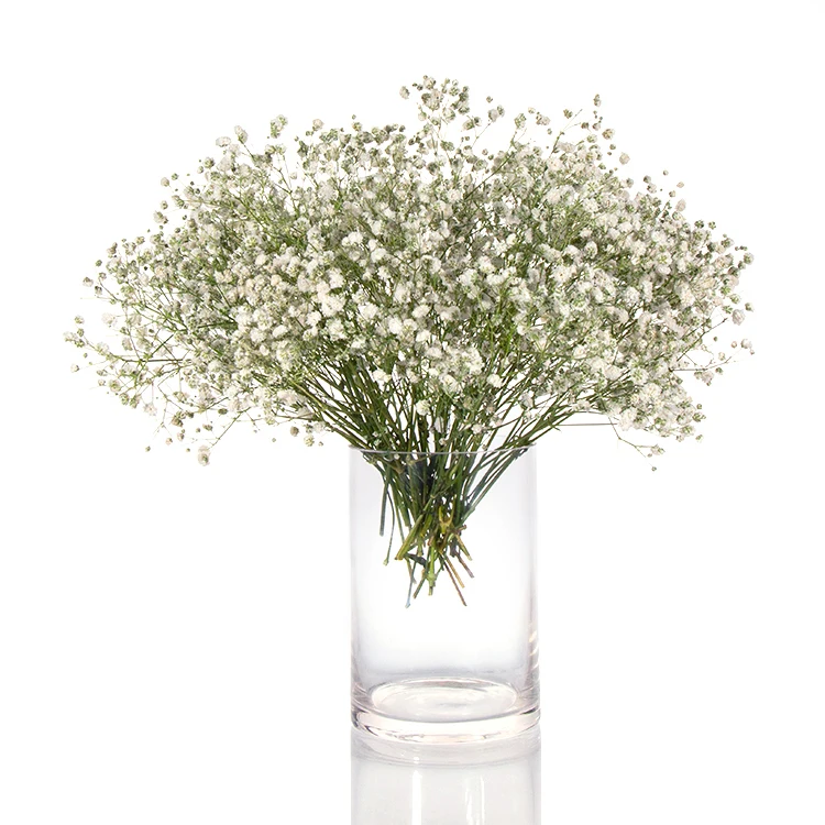 Wholesale Customized Cheap Round Clear Glass Bottle Plant Vase Flower Wall Vase Transparent 1000pcs Carton/pallet No Lids Free