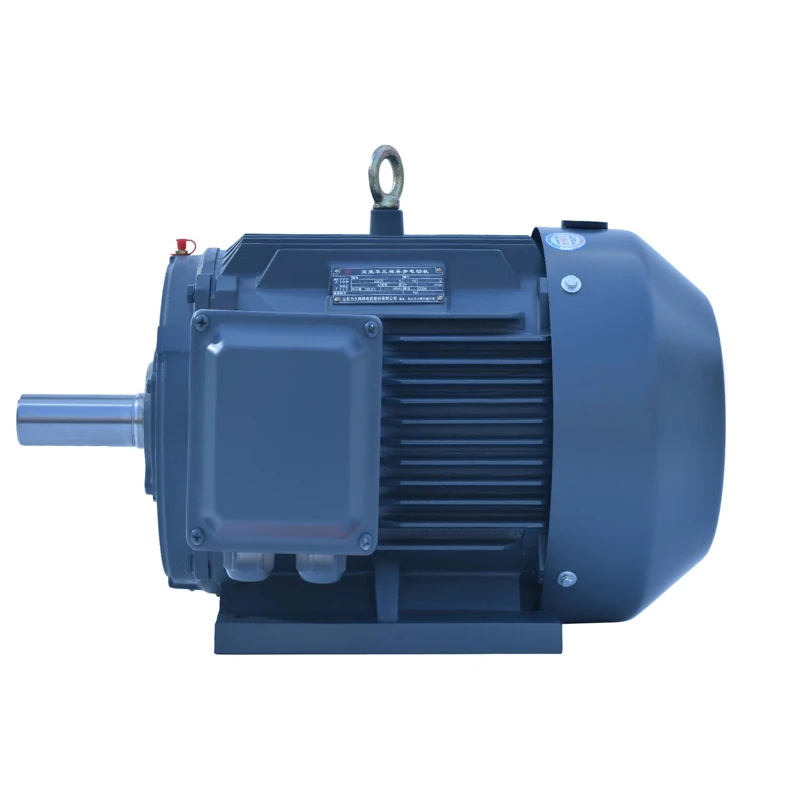 0.75kW~315kW 50HZ Reliance Three Phase Electric Motor