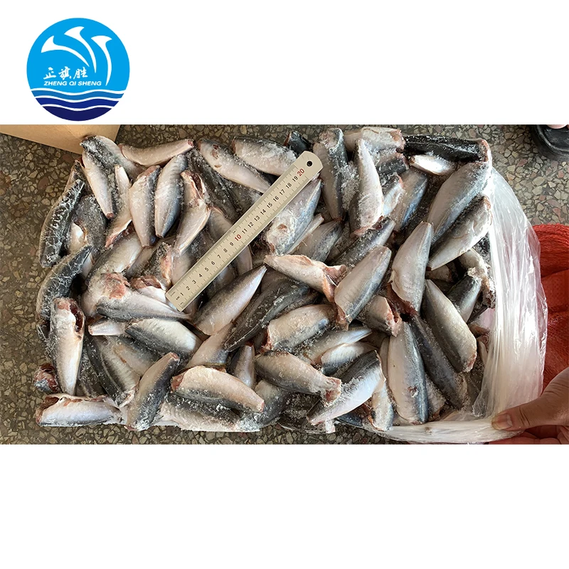 Прямая продажа с завода новые водные продукты ловящая замороженная рыба Лошадиная скумбрия